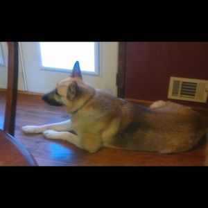 Meet your Posher, Diane